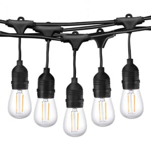 Festoon String Patio Lights With LED Bulbs